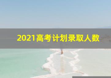 2021高考计划录取人数