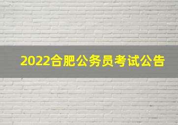 2022合肥公务员考试公告