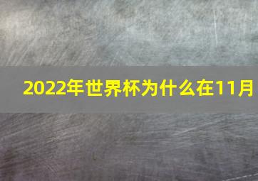 2022年世界杯为什么在11月