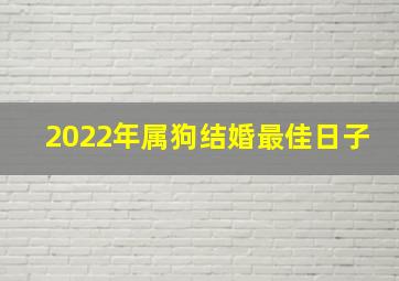 2022年属狗结婚最佳日子