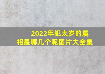 2022年犯太岁的属相是哪几个呢图片大全集