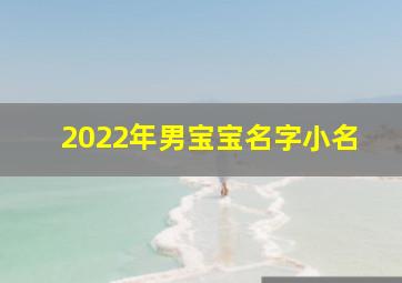 2022年男宝宝名字小名