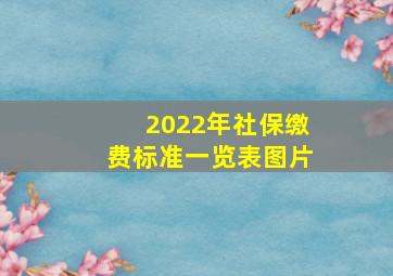 2022年社保缴费标准一览表图片