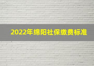 2022年绵阳社保缴费标准