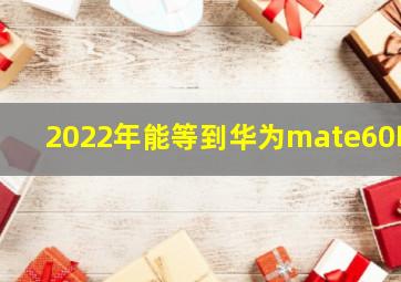 2022年能等到华为mate60吗