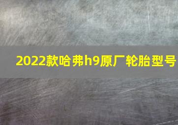 2022款哈弗h9原厂轮胎型号