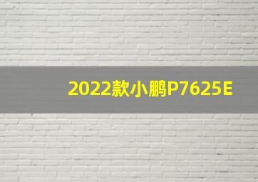 2022款小鹏P7625E