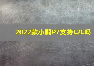 2022款小鹏P7支持L2L吗