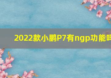 2022款小鹏P7有ngp功能吗