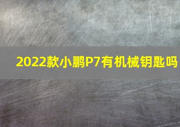 2022款小鹏P7有机械钥匙吗