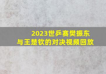 2023世乒赛樊振东与王楚钦的对决视频回放