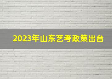 2023年山东艺考政策出台