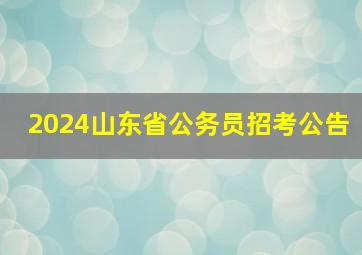 2024山东省公务员招考公告