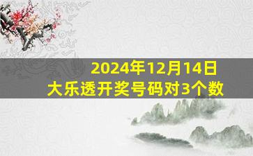 2024年12月14日大乐透开奖号码对3个数