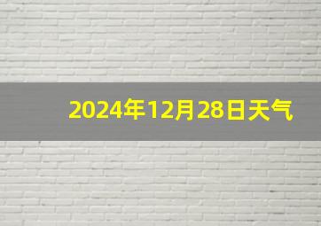 2024年12月28日天气