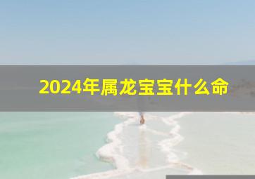 2024年属龙宝宝什么命