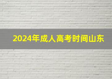 2024年成人高考时间山东