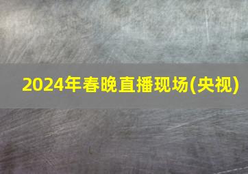 2024年春晚直播现场(央视)