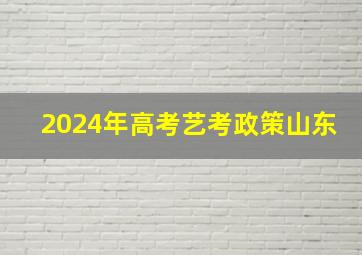 2024年高考艺考政策山东