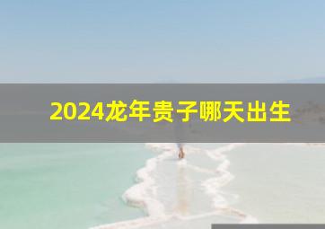 2024龙年贵子哪天出生