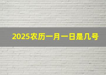 2025农历一月一日是几号