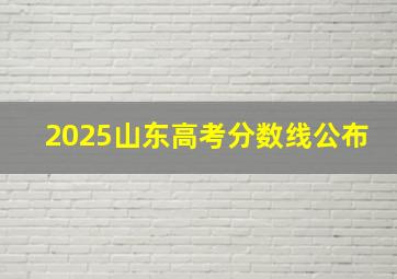 2025山东高考分数线公布