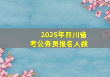 2025年四川省考公务员报名人数