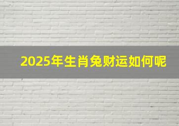 2025年生肖兔财运如何呢