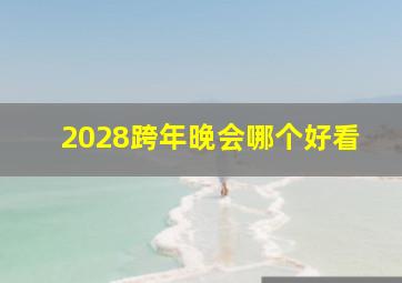 2028跨年晚会哪个好看