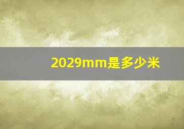 2029mm是多少米