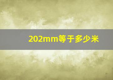 202mm等于多少米