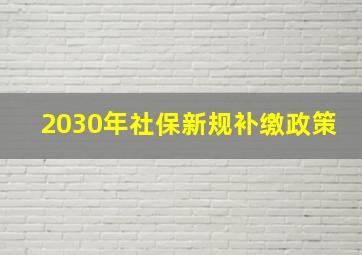 2030年社保新规补缴政策