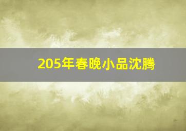 205年春晚小品沈腾