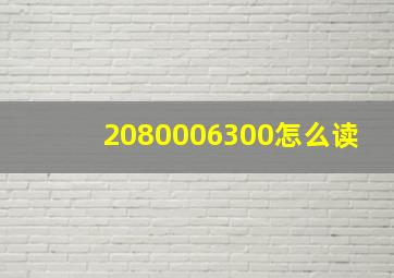 2080006300怎么读