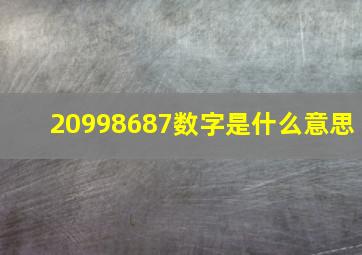 20998687数字是什么意思