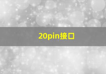 20pin接口