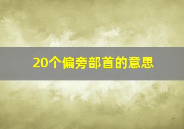 20个偏旁部首的意思