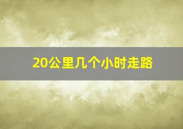 20公里几个小时走路