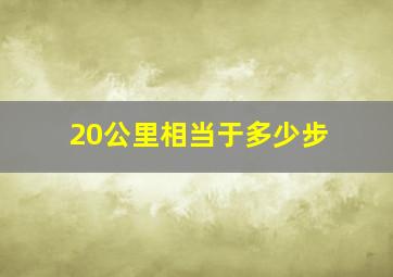 20公里相当于多少步