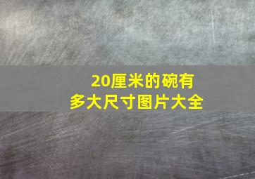 20厘米的碗有多大尺寸图片大全