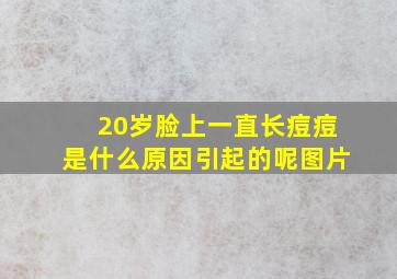 20岁脸上一直长痘痘是什么原因引起的呢图片