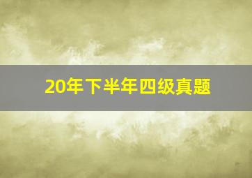 20年下半年四级真题