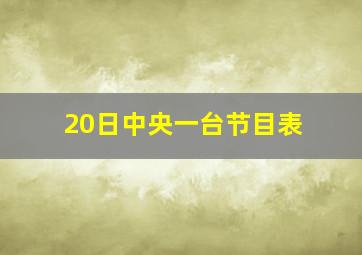 20日中央一台节目表