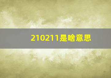 210211是啥意思