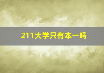 211大学只有本一吗