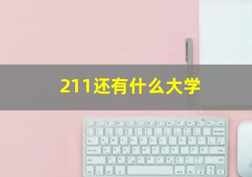 211还有什么大学