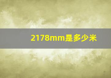 2178mm是多少米