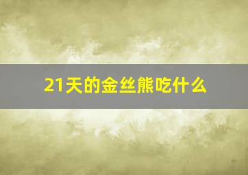 21天的金丝熊吃什么