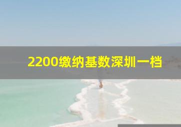 2200缴纳基数深圳一档