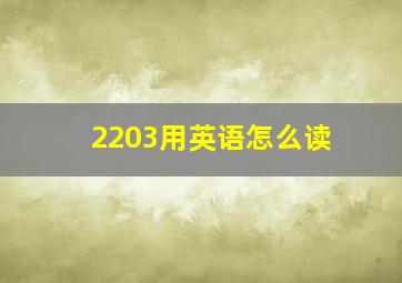 2203用英语怎么读